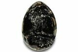 Septarian Dragon Egg Geode - Black Crystals #302861-1